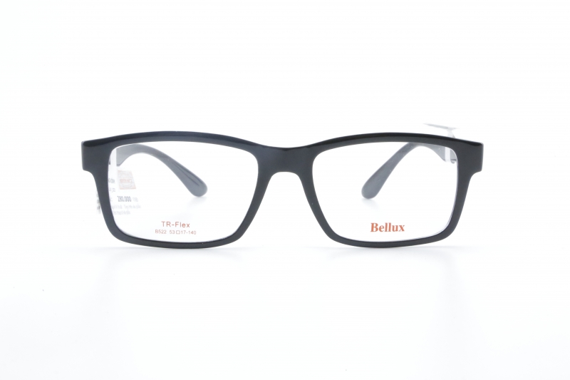G:522BKW BELLUX