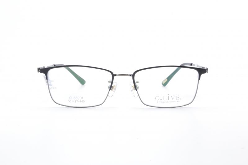 G:66901C3 OLIVE