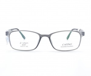 G:60291C2-1 CATINO