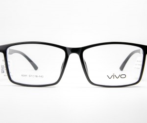 G:6041C1-VIVO