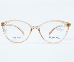 G:20300COL29L-HUMAN
