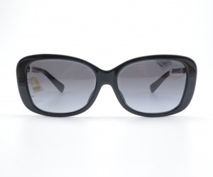 M:50028.BLACK COACH