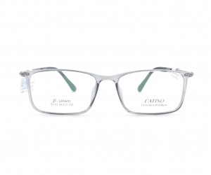 G:70133C2-1 CATINO
